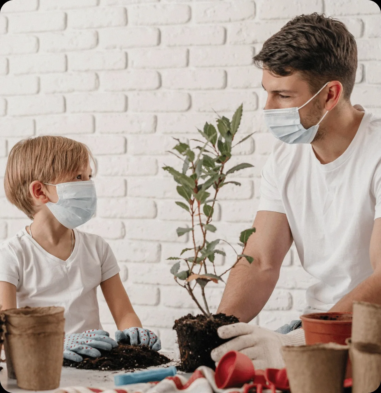 A man and a child in masks potting a plant.