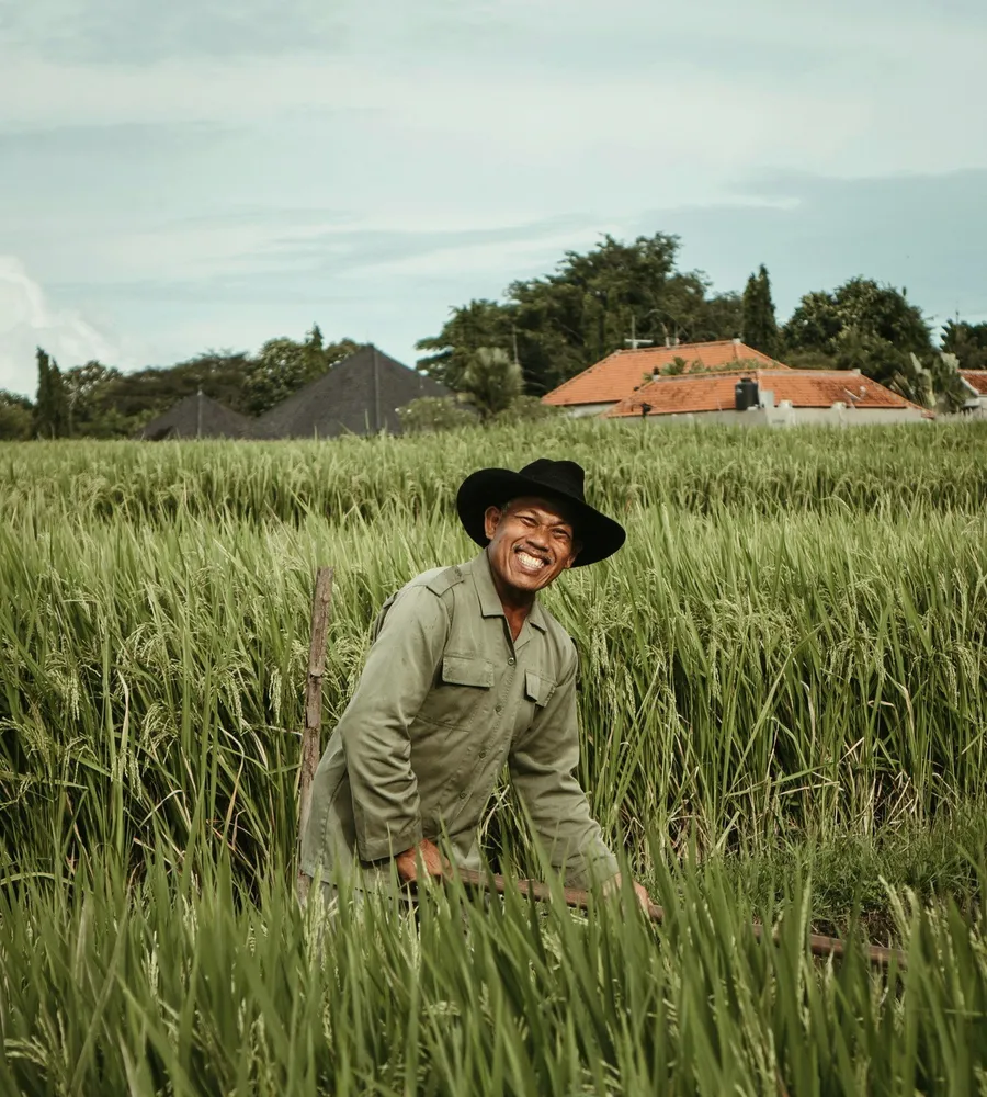 A farmer in a hat in a rice field.