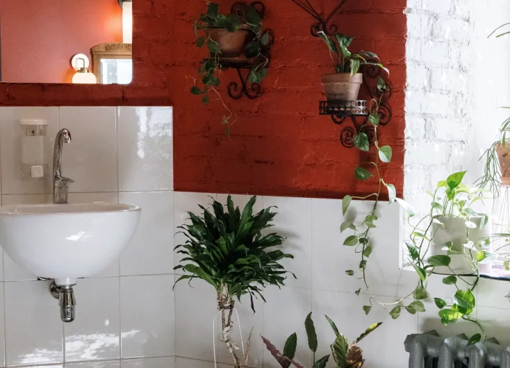 A shared bathroom with a red wall and plants.