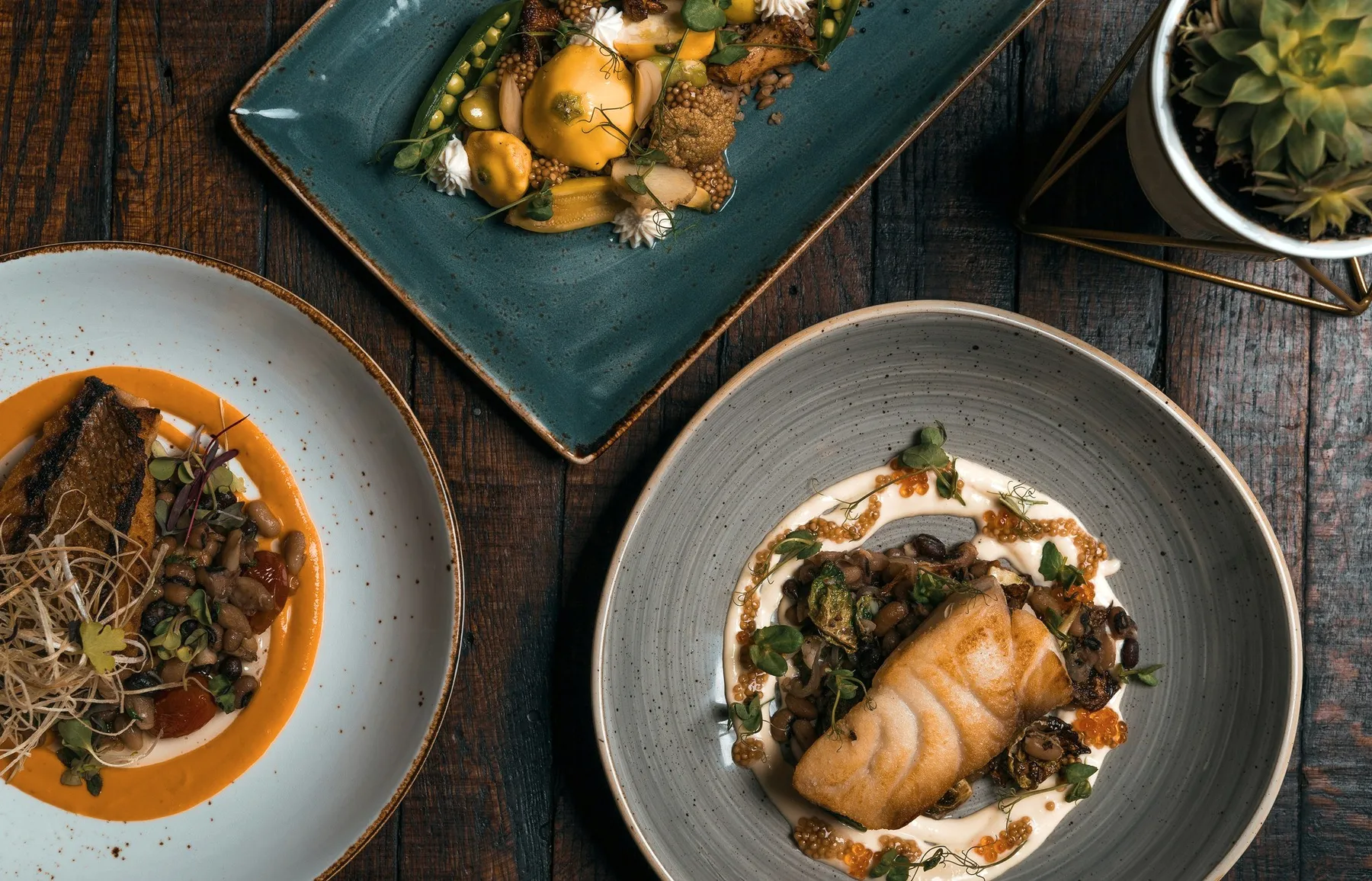 Two plated dishes on a dark wooden table, seen from above.