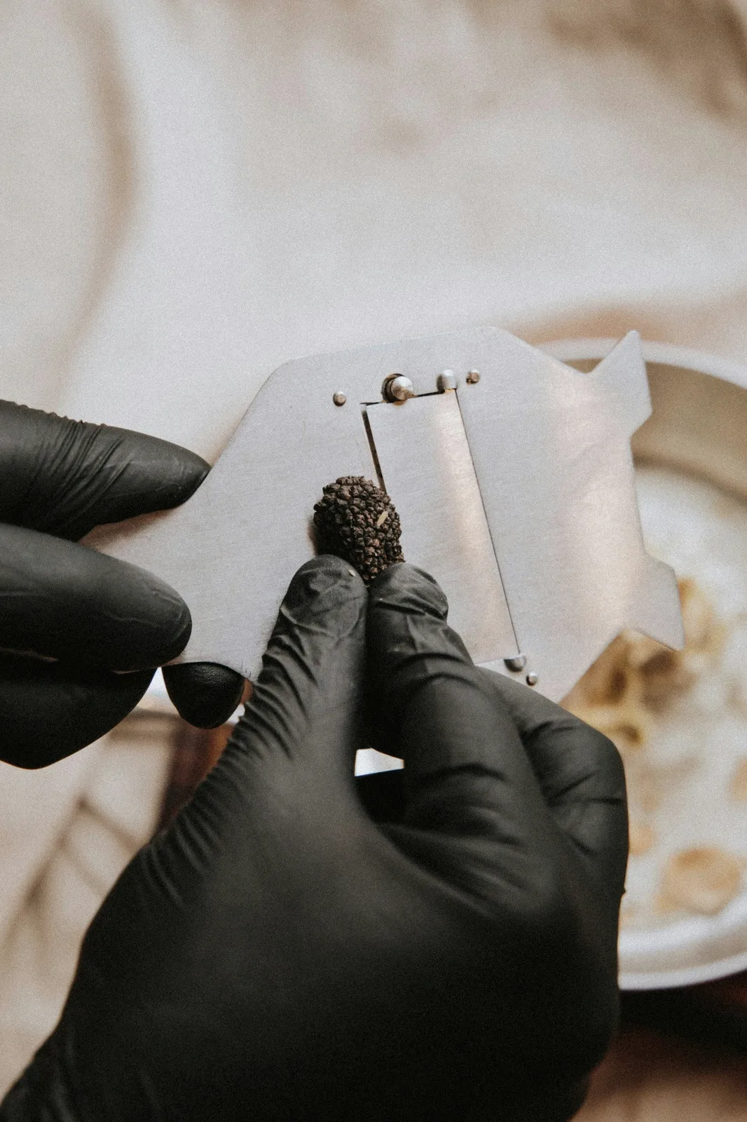 Gloved hands shaving a black truffle.