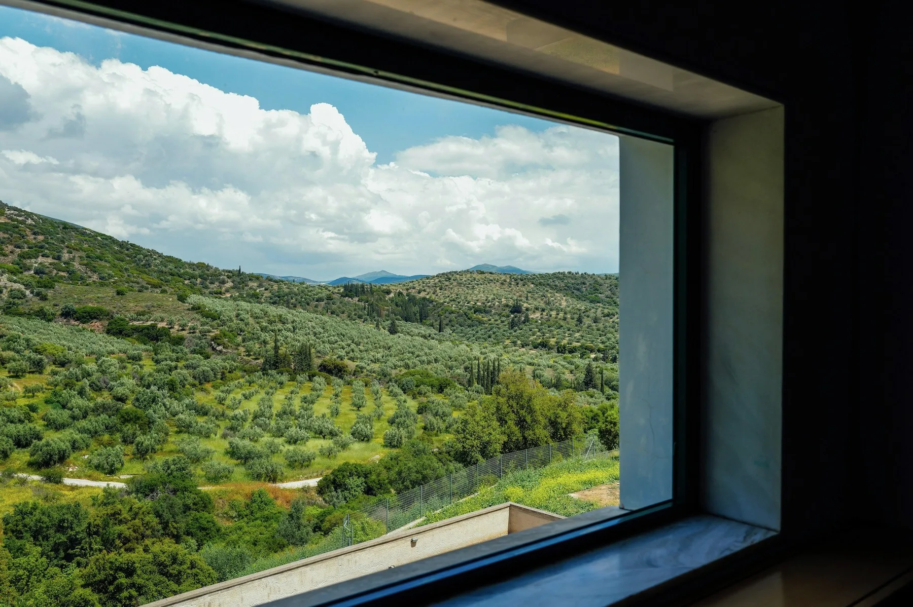 Olive groves and clouds through a wide window.