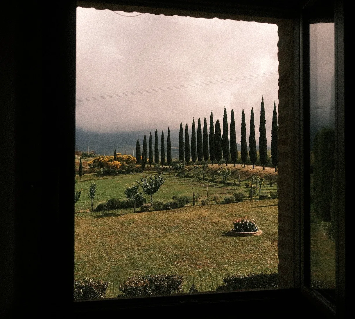 A row of cypress trees seen through an old window, the frame around it.
