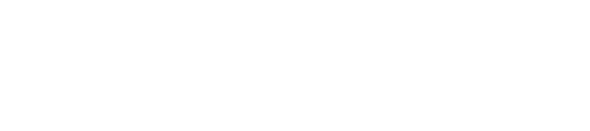 Logoipsum Brand Standard, a placeholder mark.