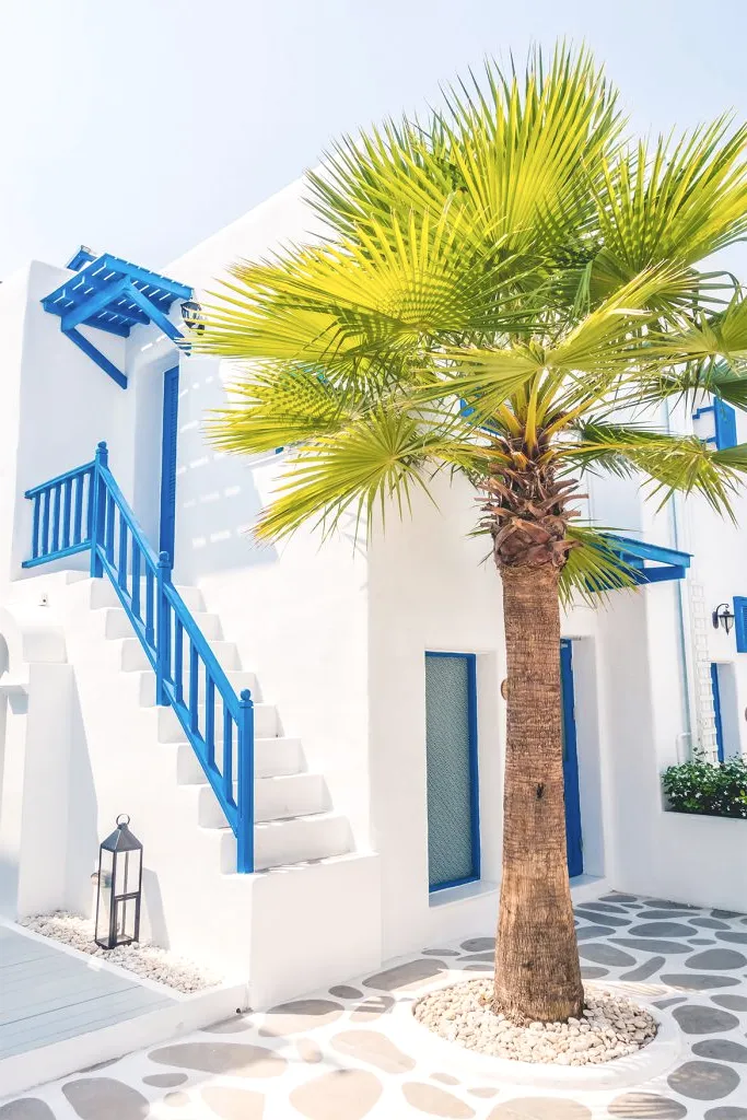 A palm tree before a white house with blue stairs.