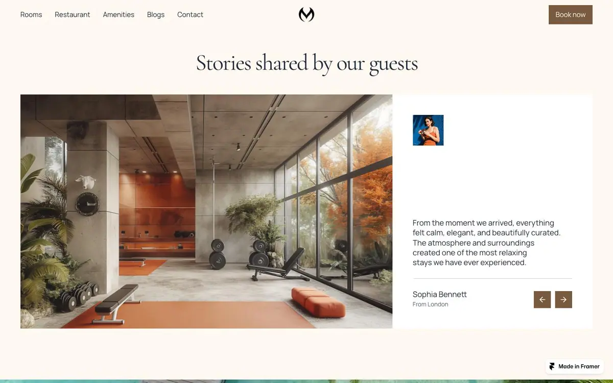 Section 03 of the Montvera site, guest stories